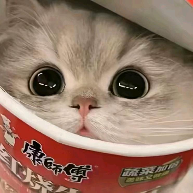 哈哈哈哈哈基米