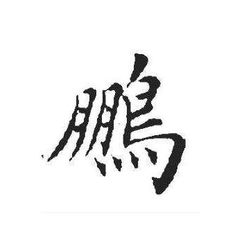 鹏哥爱生活
