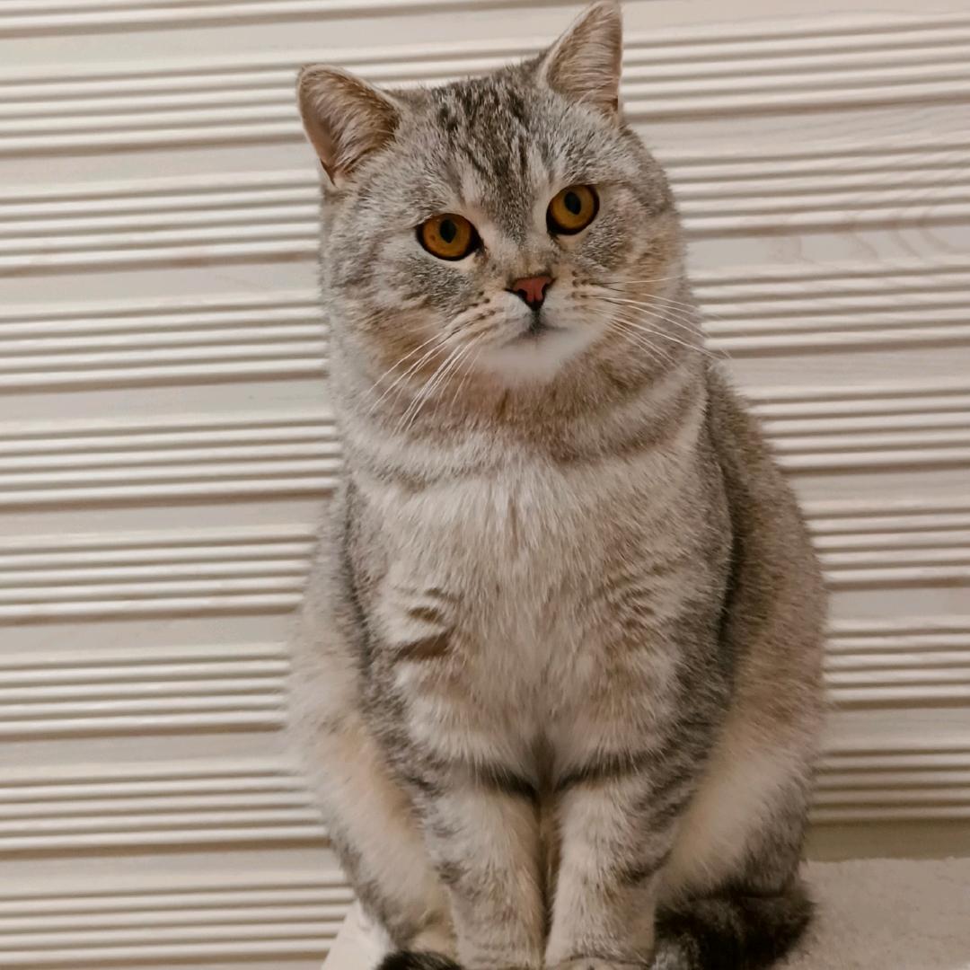 雨露（拒绝合拍）