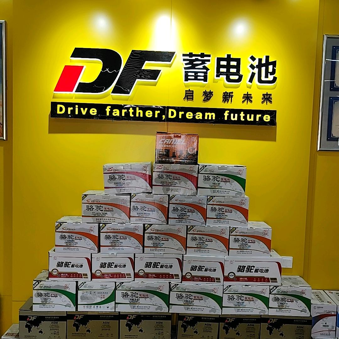 廊坊市骆驼蓄电池