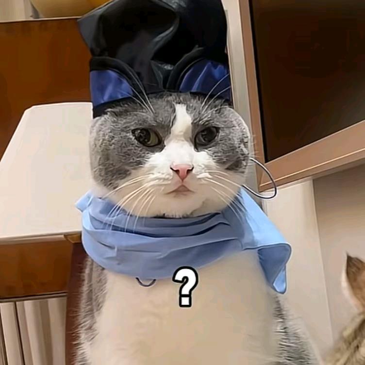 牛肉丸手打陈皮