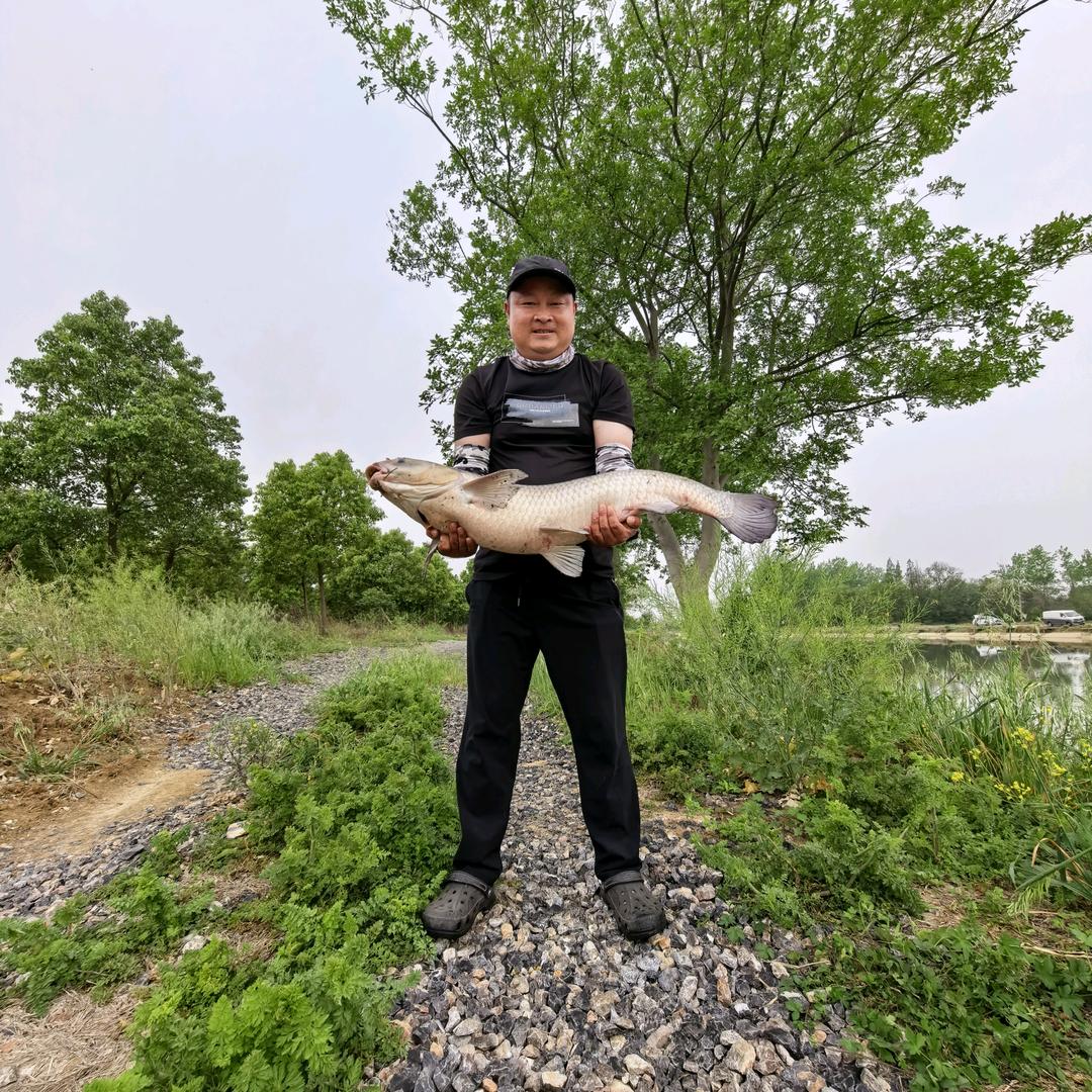 张太公钓鱼🎣