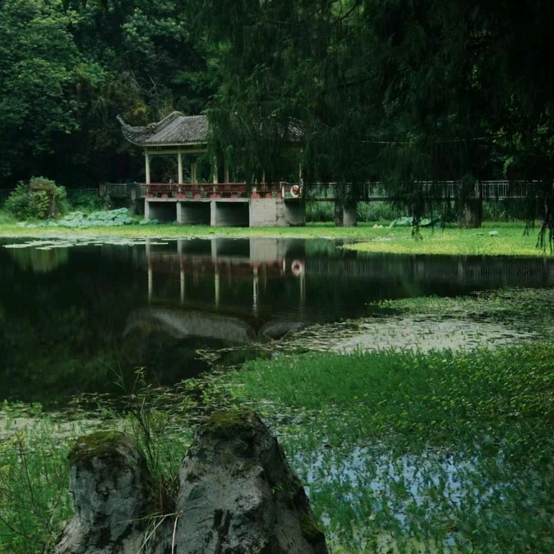 花🌸开富贵