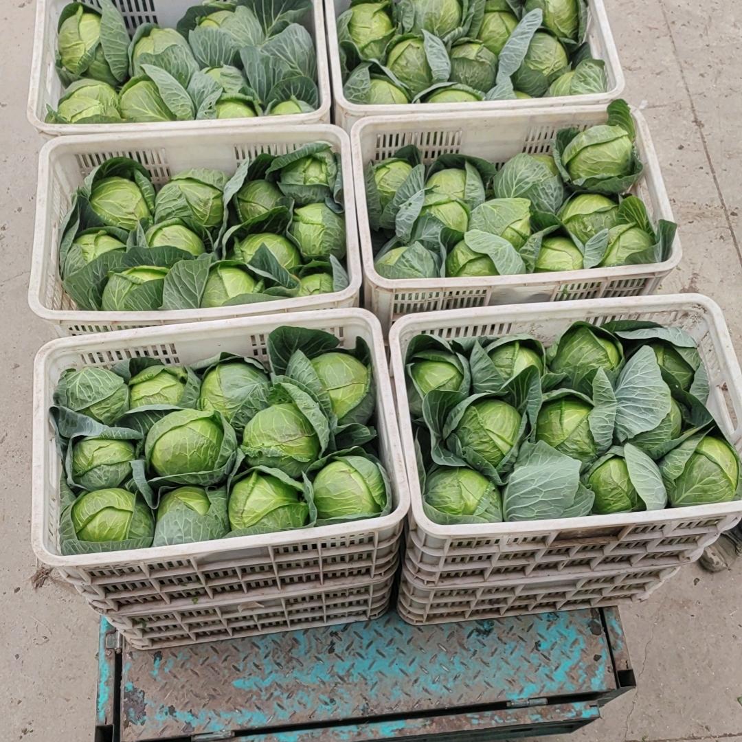 万里，