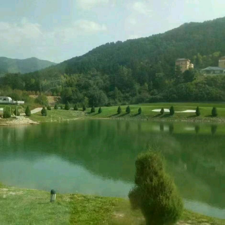 金鸿运公棚-武云凯