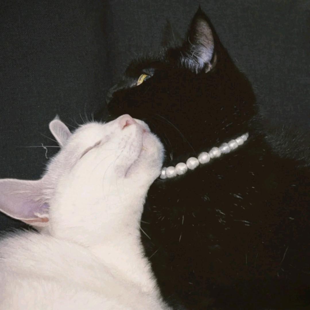 💤-每天都好困^