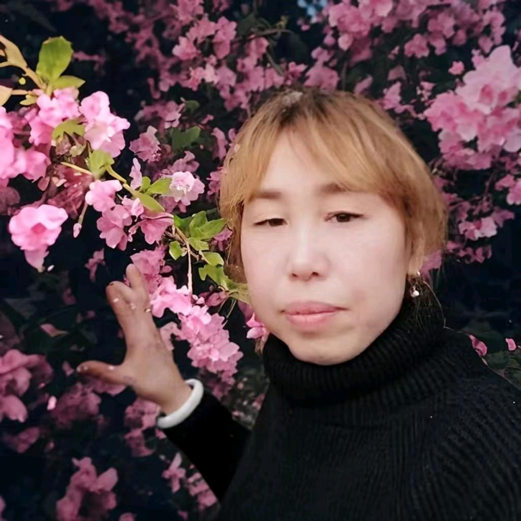银芝