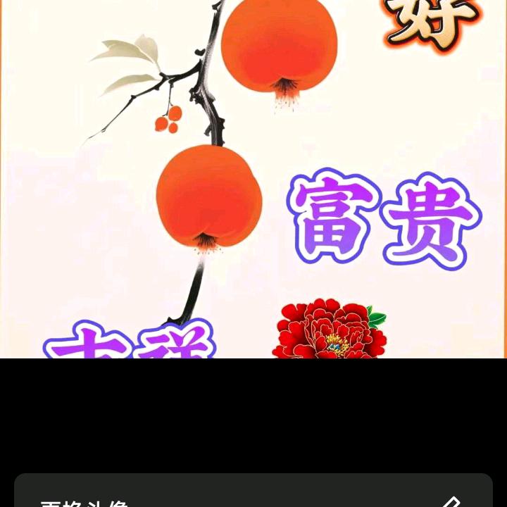 农村仔