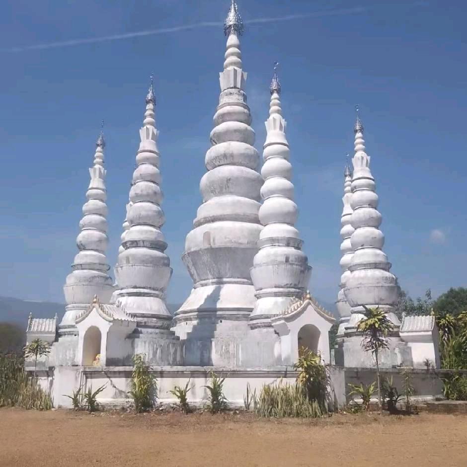 公道自在人心，好人一生平安。保总