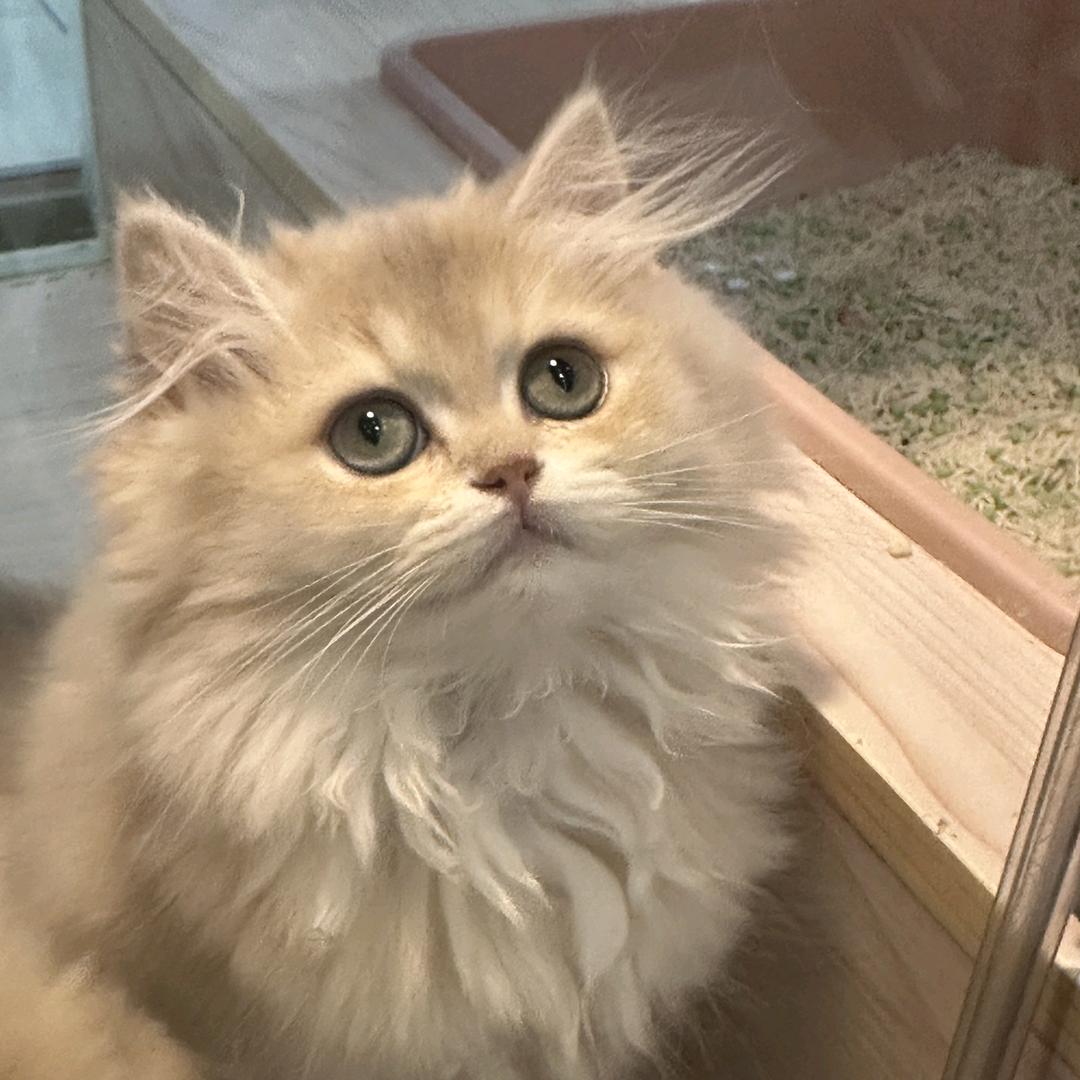 从前、慢