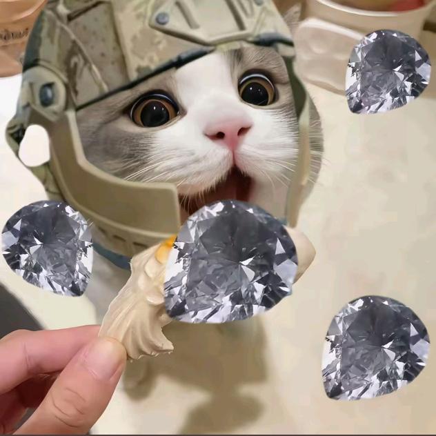 修