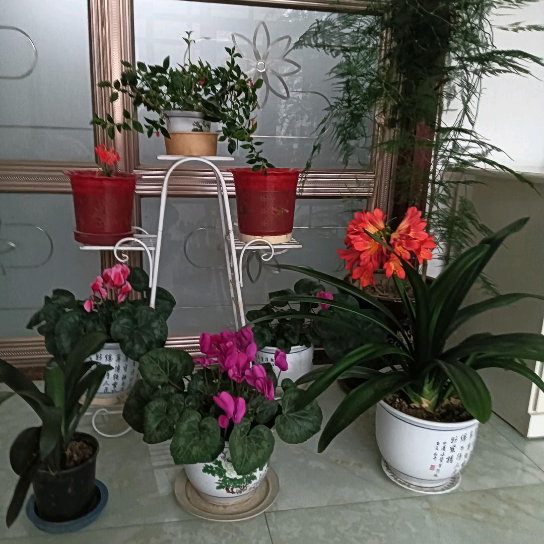 今生（申）有缘（袁）