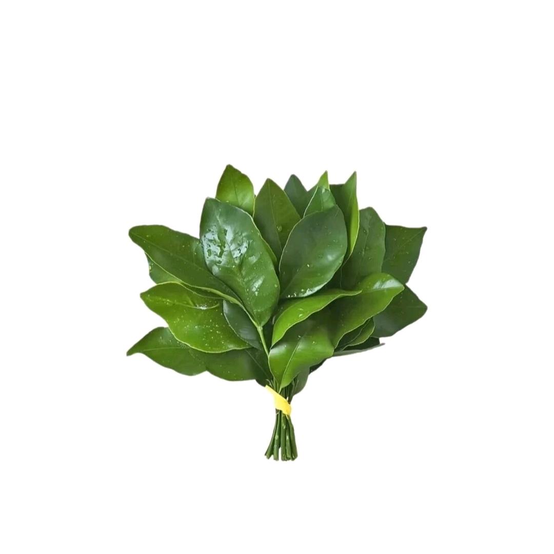 钮钴禄-毒妇