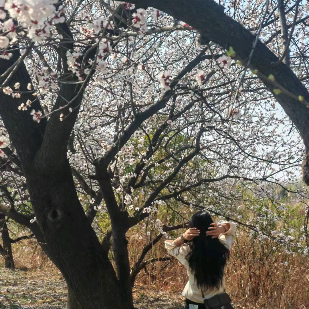 小西瓜@