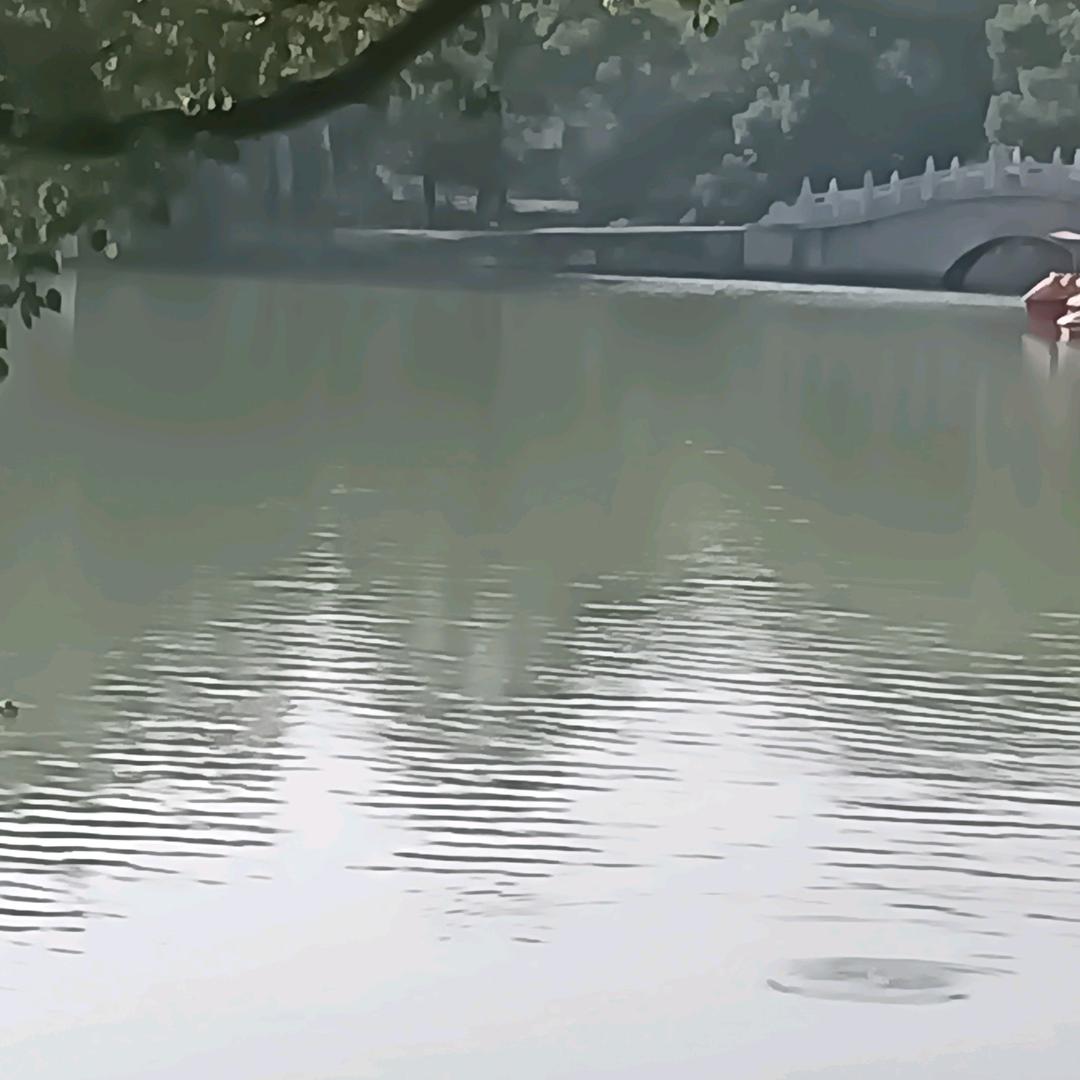 永恒1