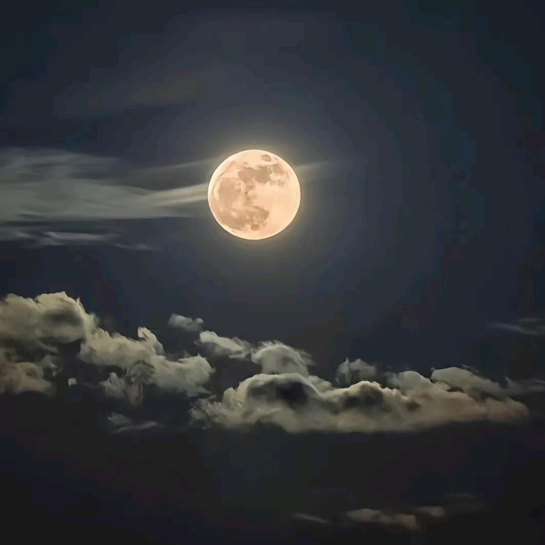 我愿面朝大海春暖花开