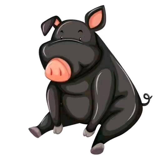 李开心520