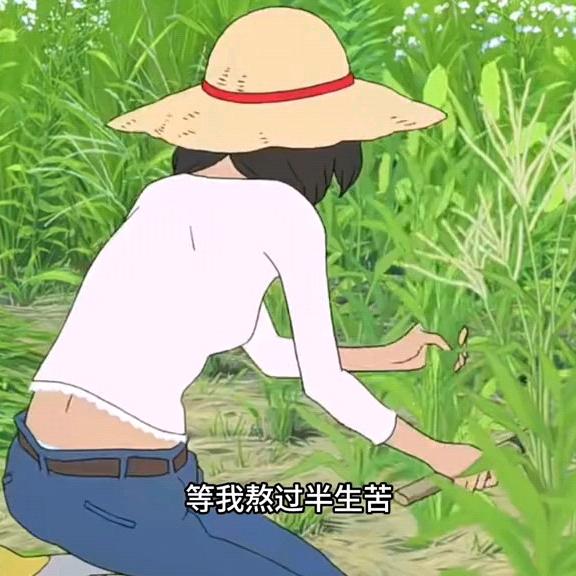 似水流年