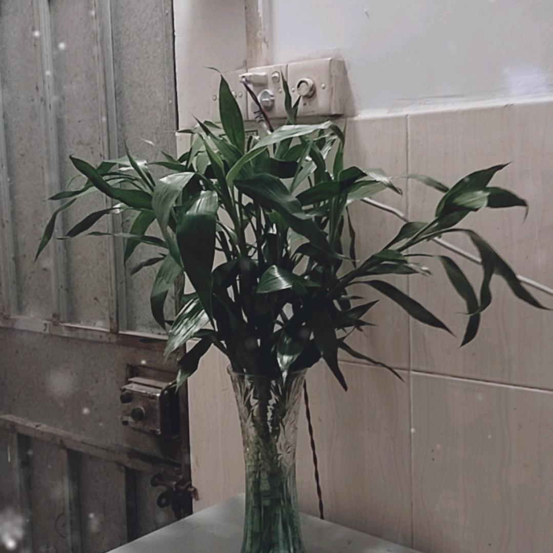 过好每一天