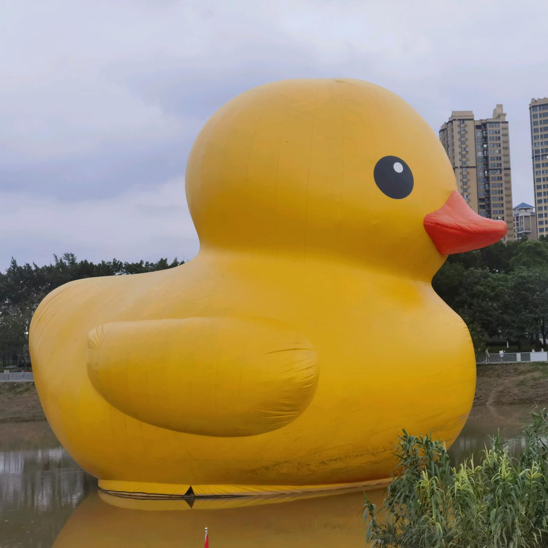 鱼在沙漠晒太阳