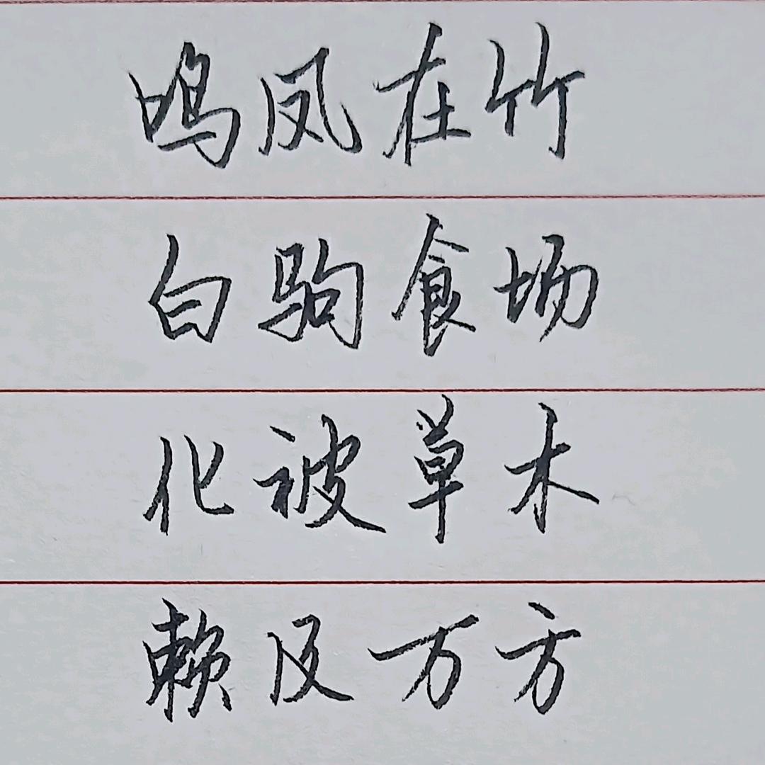 笑哥——杨神