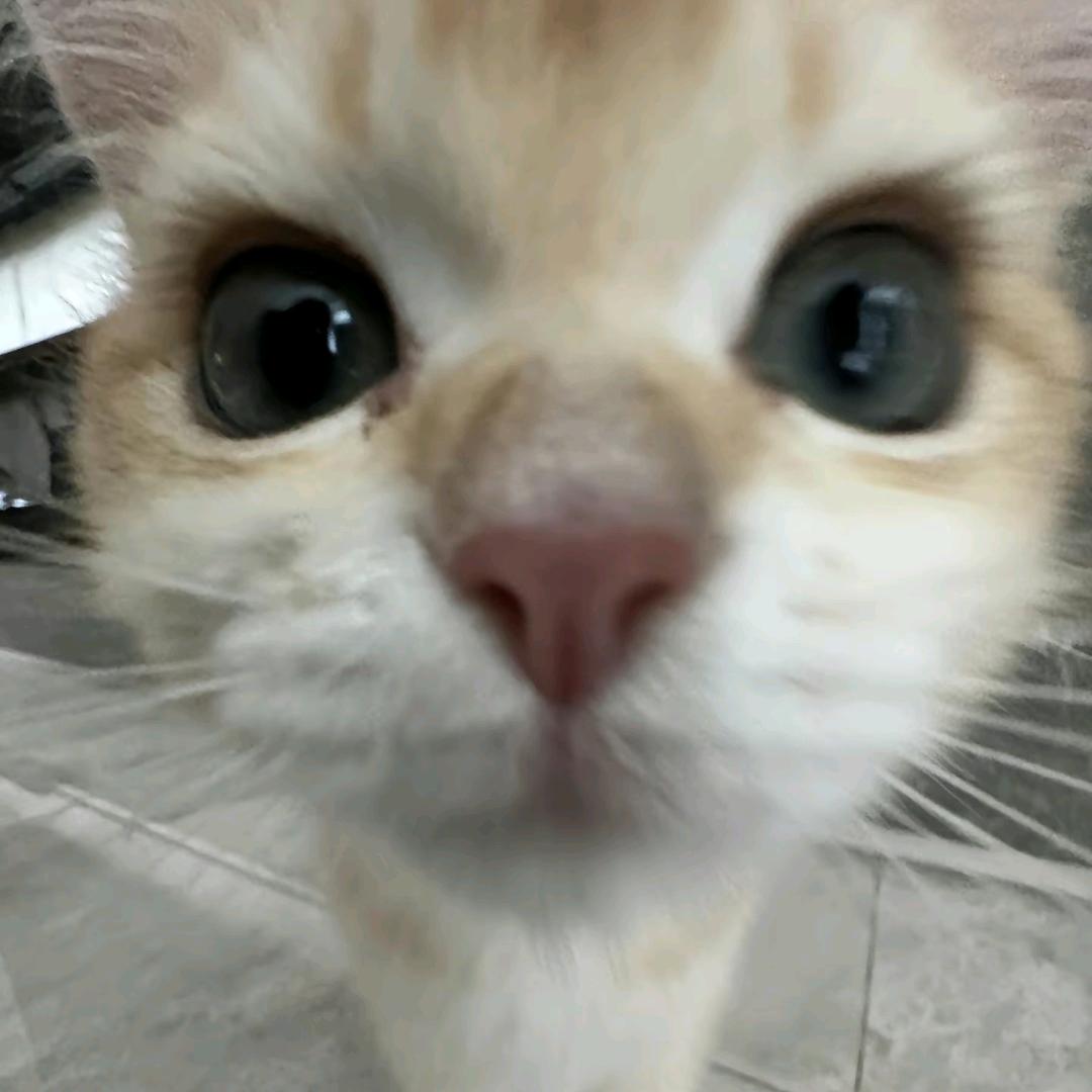 晚安.