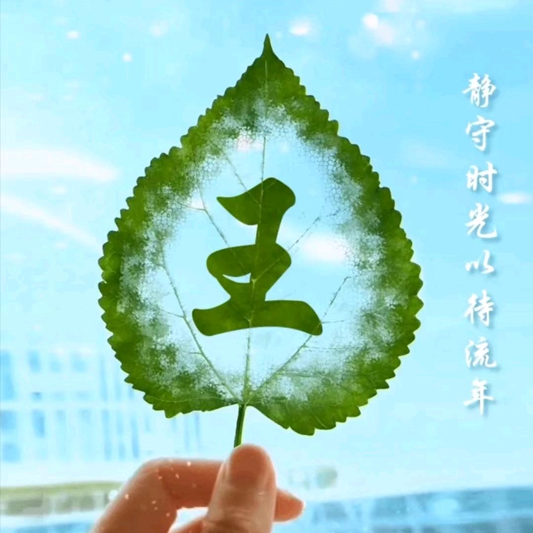 沧海一粟