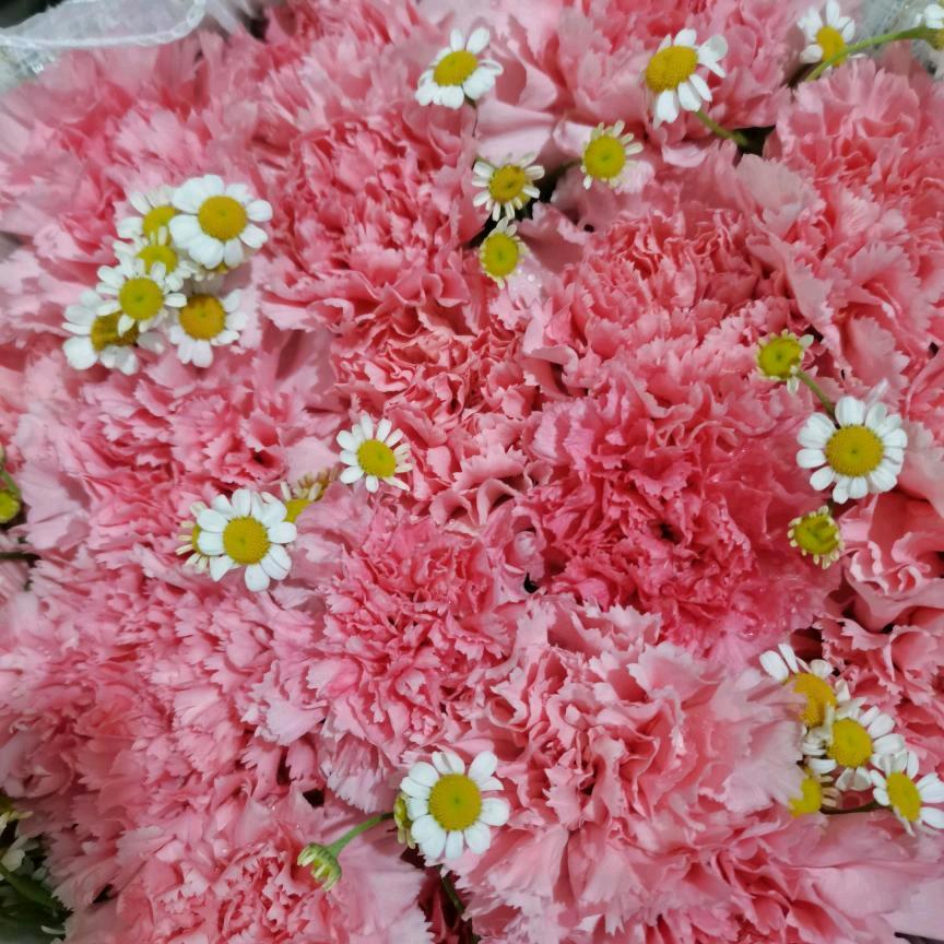 善家人缘