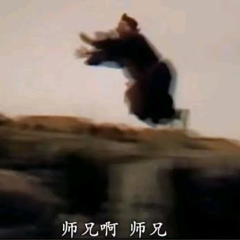马户