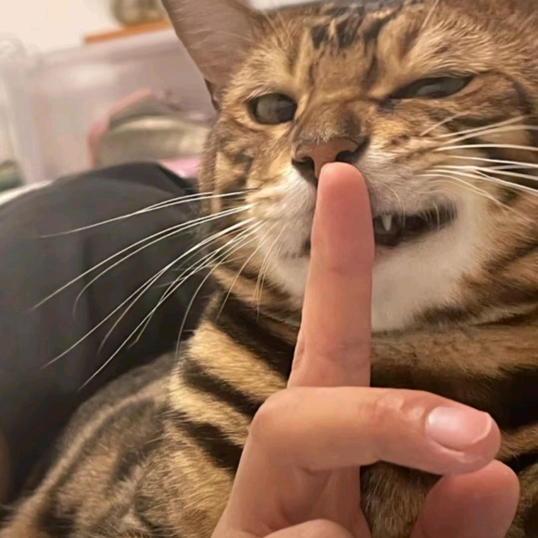 劉龙宇𝓗𝒜 ᮣ