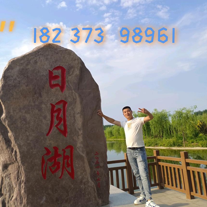 骆驼🐫电瓶 国顺