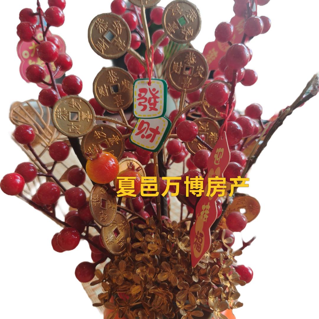 晟柒