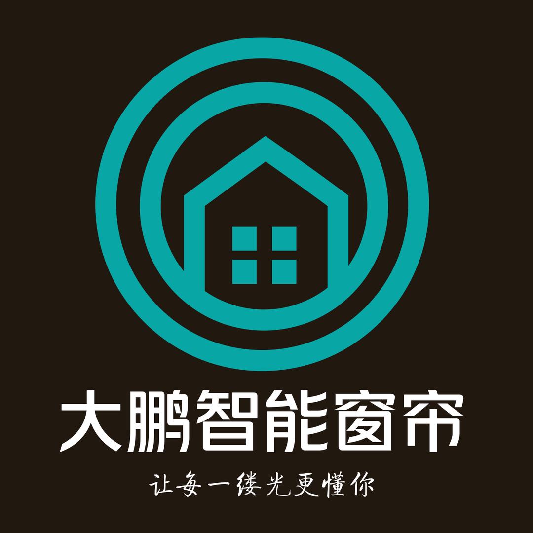 大鹏智能窗帘梦幻帘