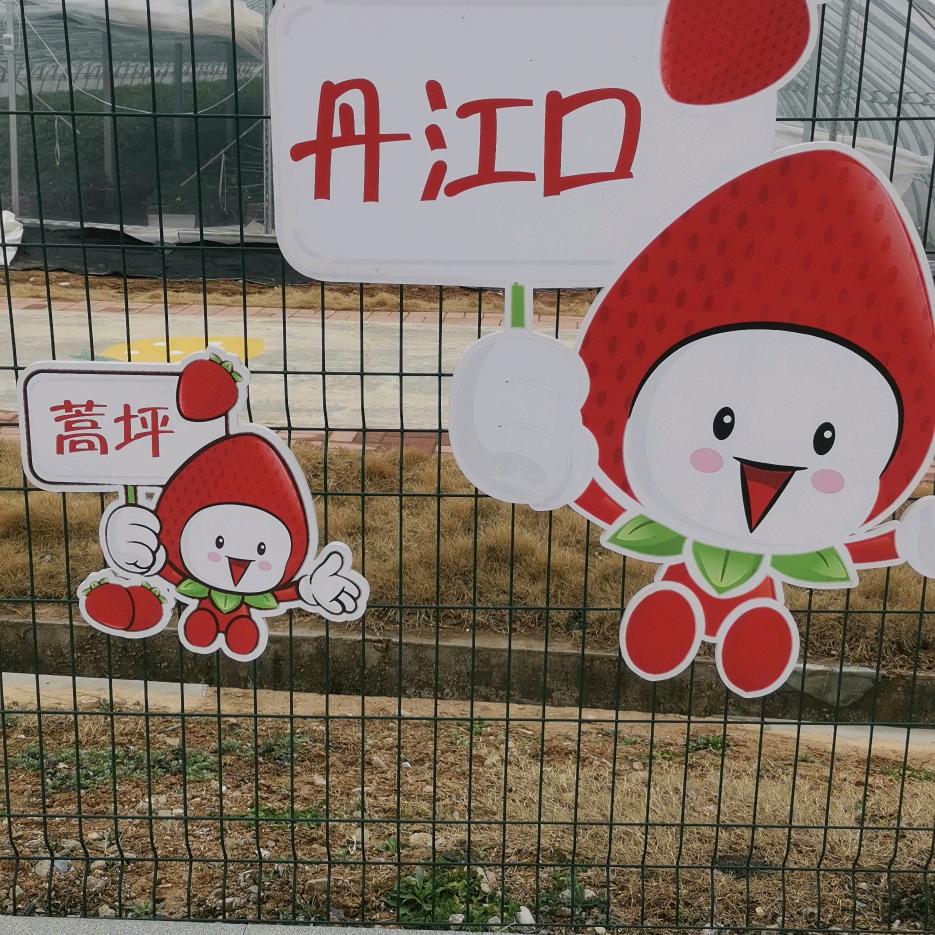 涛666888