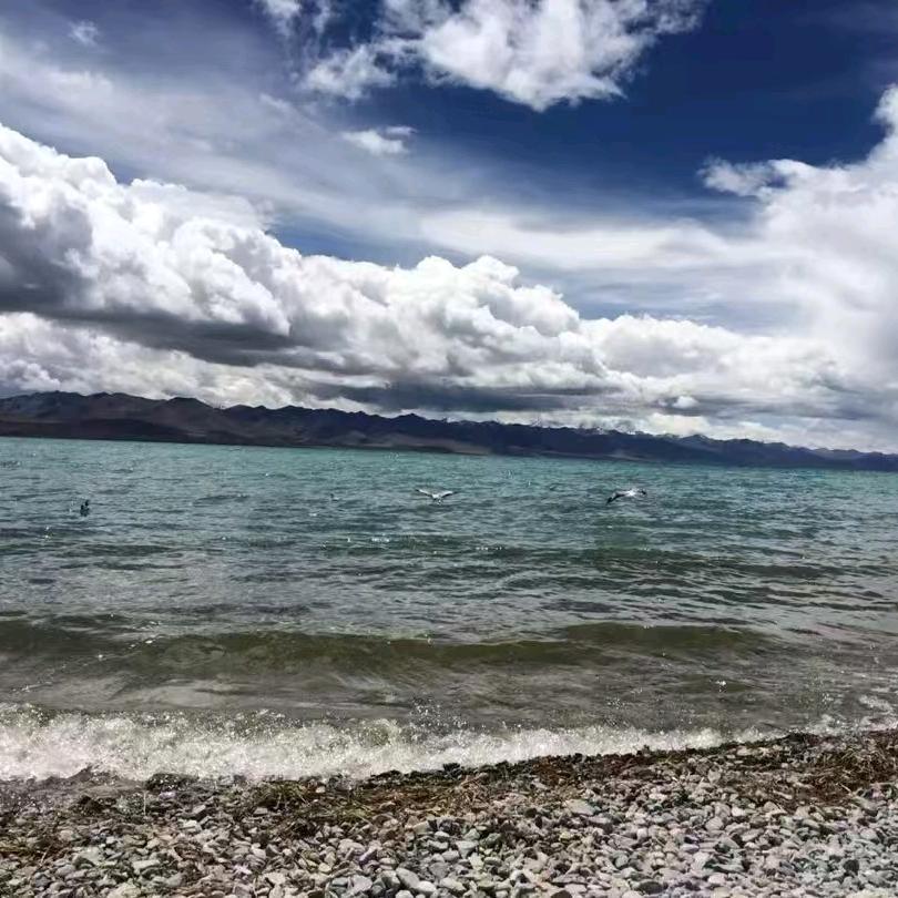 ღ᭄小羊苏西ꫛ᭄এ