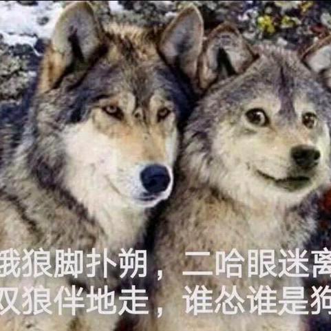 用户8818138718407