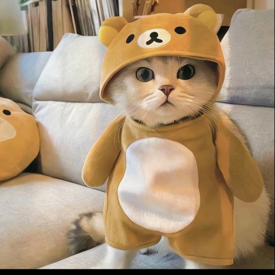 Nothing小羊～