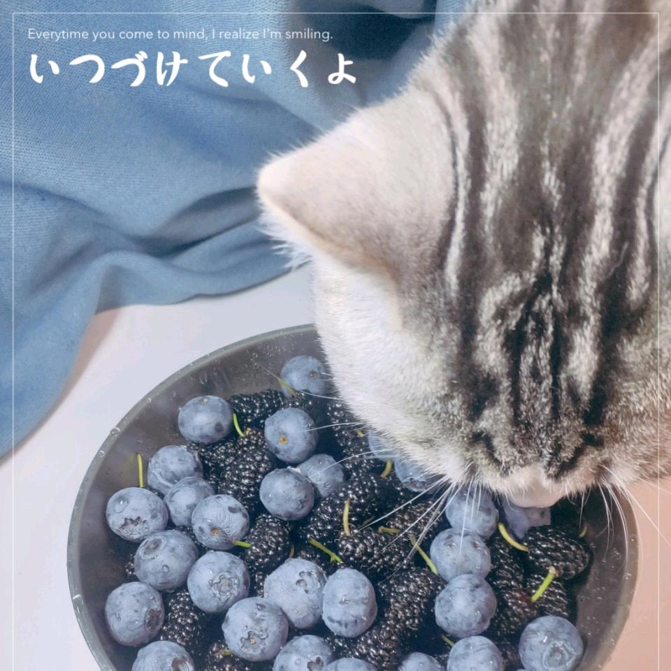 Jessica的生活七上八下但有夭可九