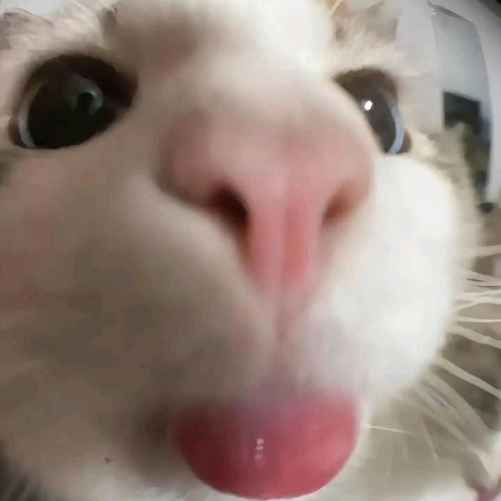 粥粥粥