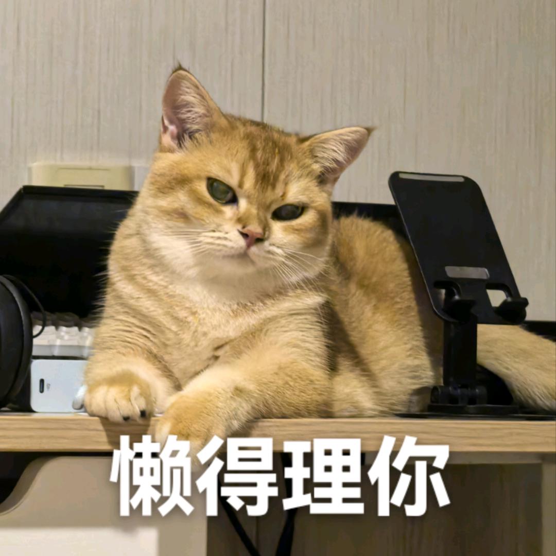 鲜肉大饼