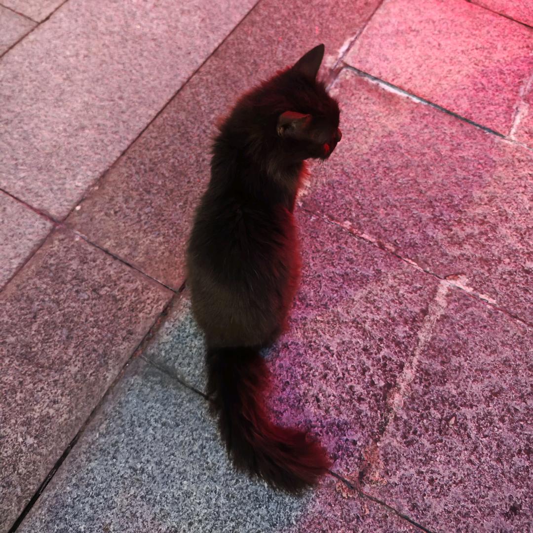 瘋子