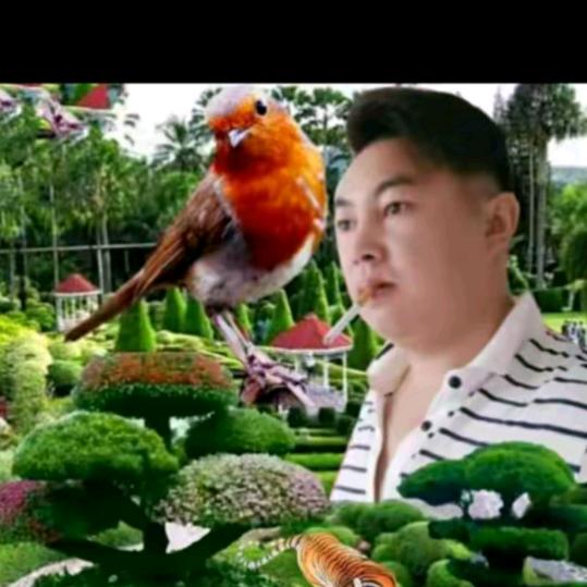 开心帅哥