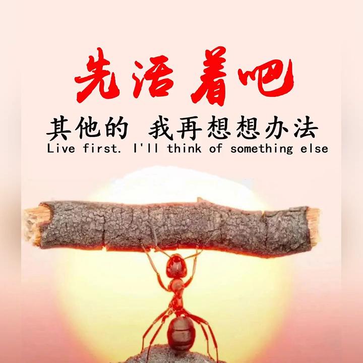 حب摆烂真好حب