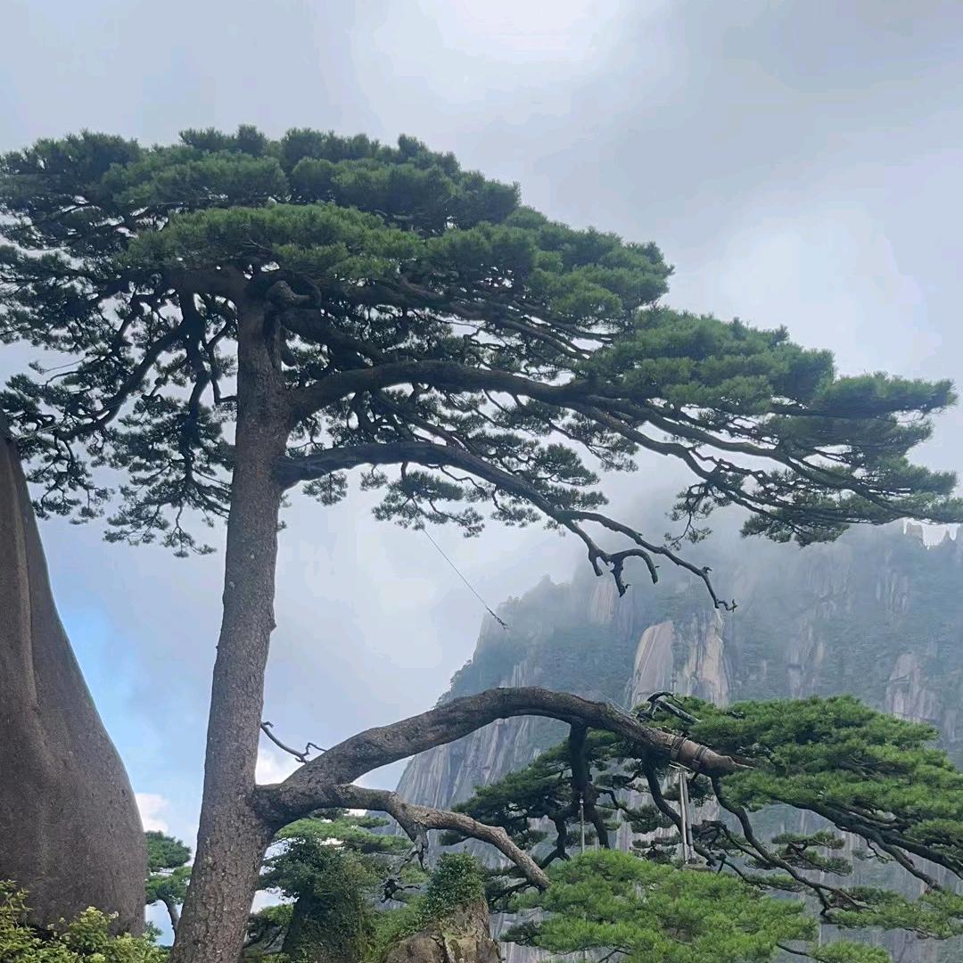 渴望