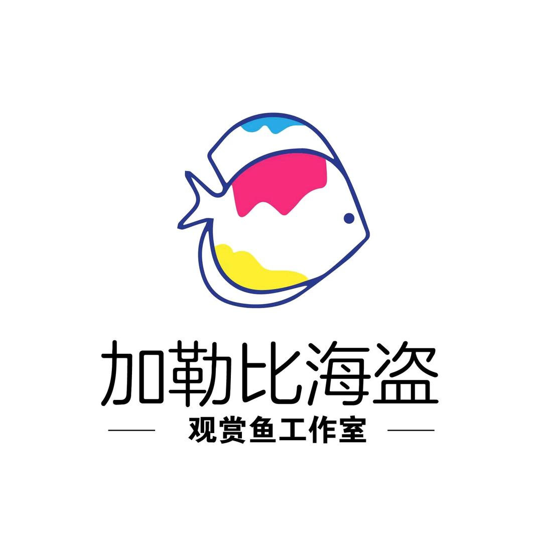 加勒比海盗观赏鱼工作室