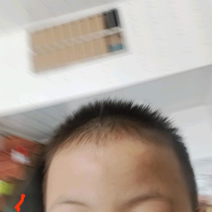 鳌不服输