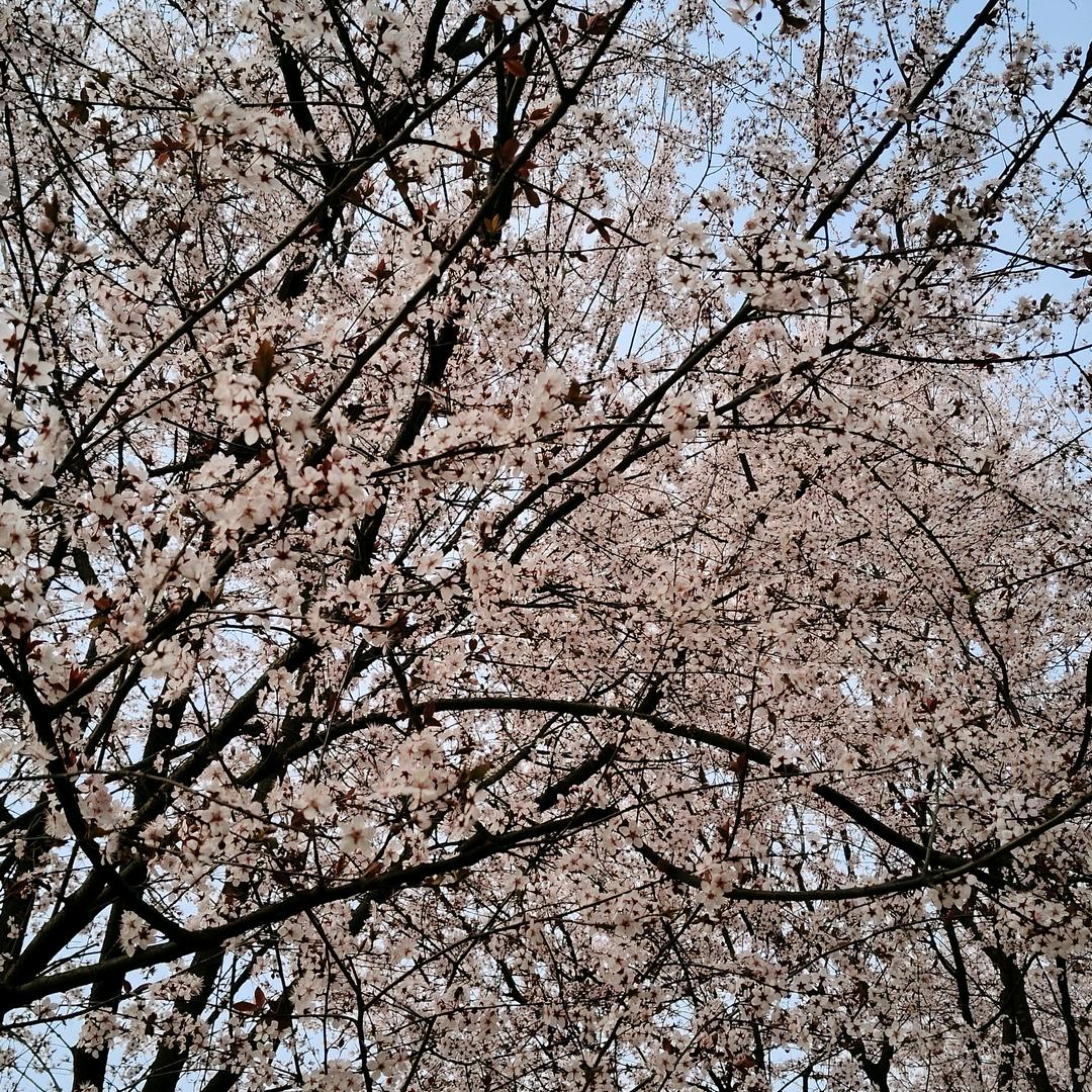如此而已326