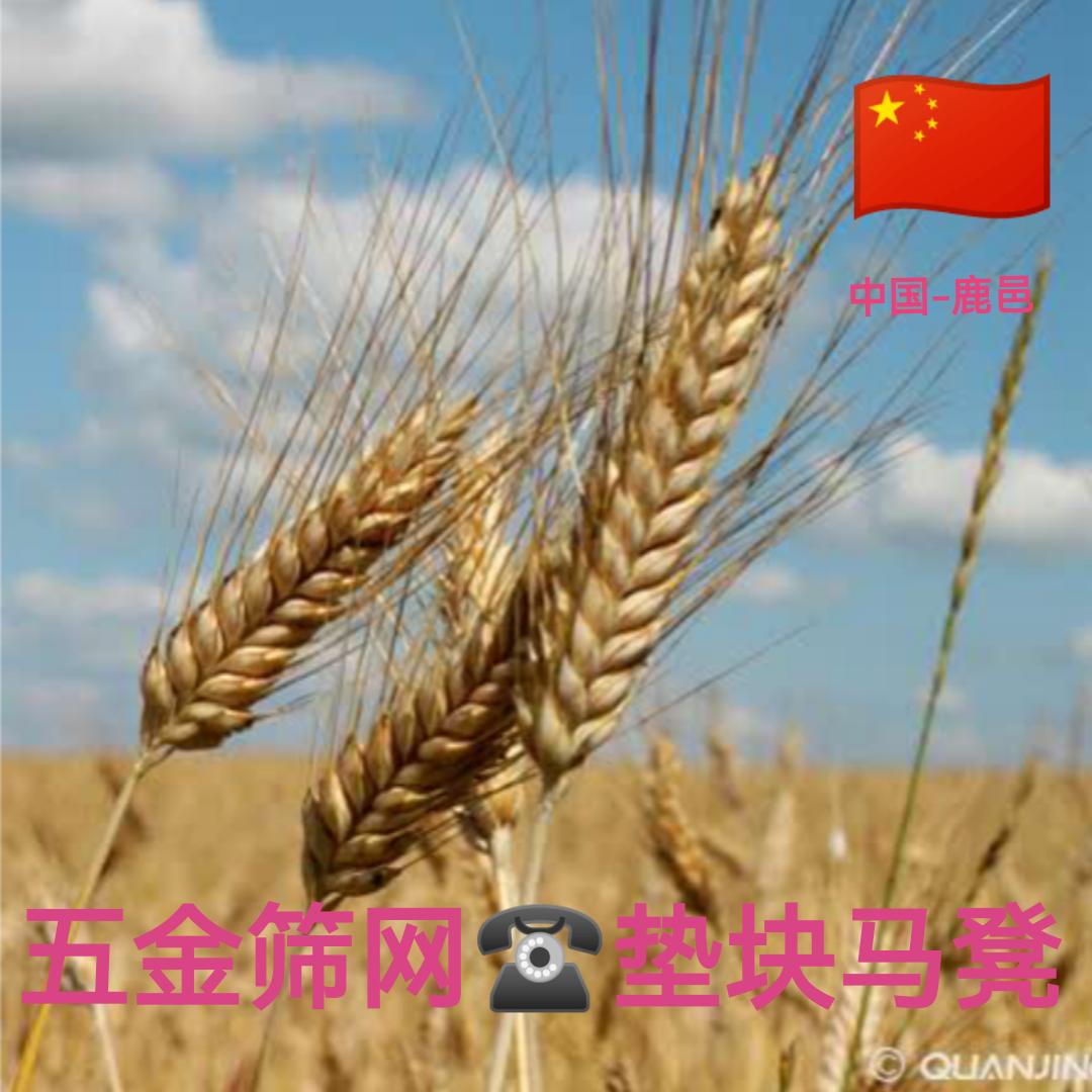 周健五金筛网🍃马凳垫块