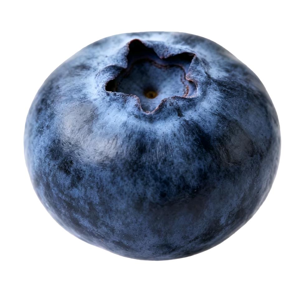 蓝莓（云空版）