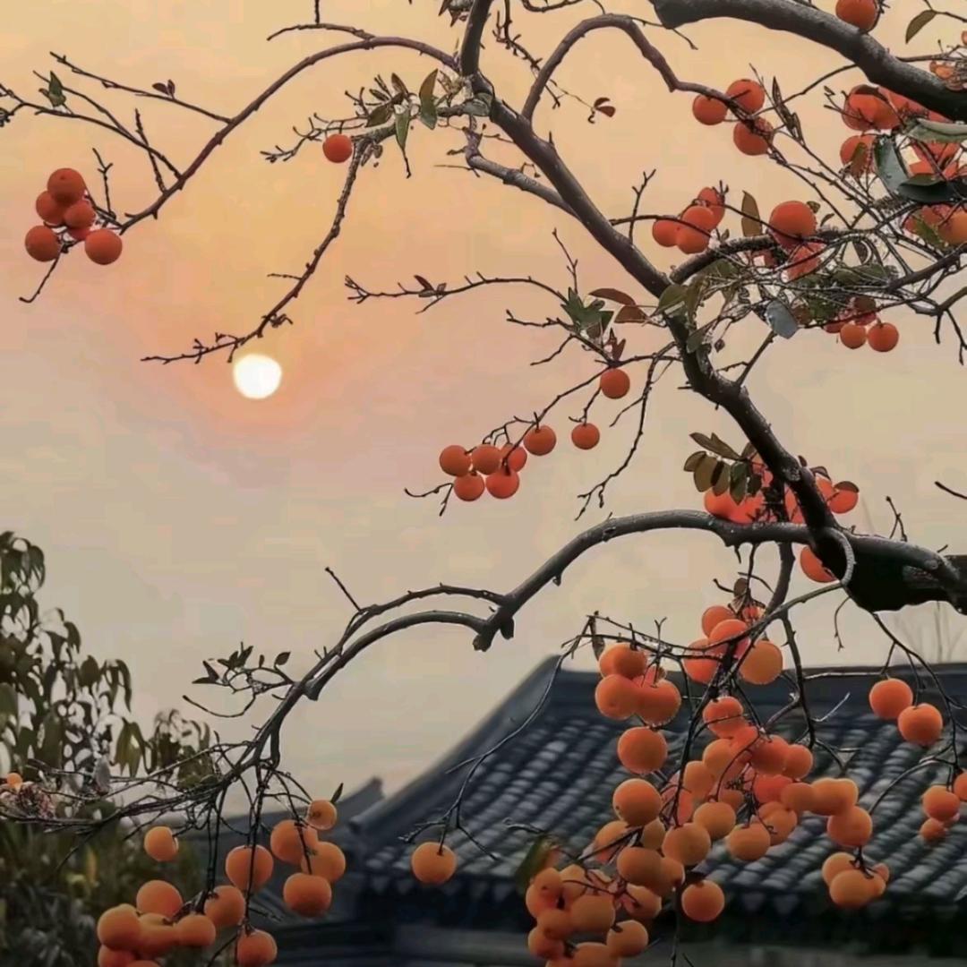 我爱我家